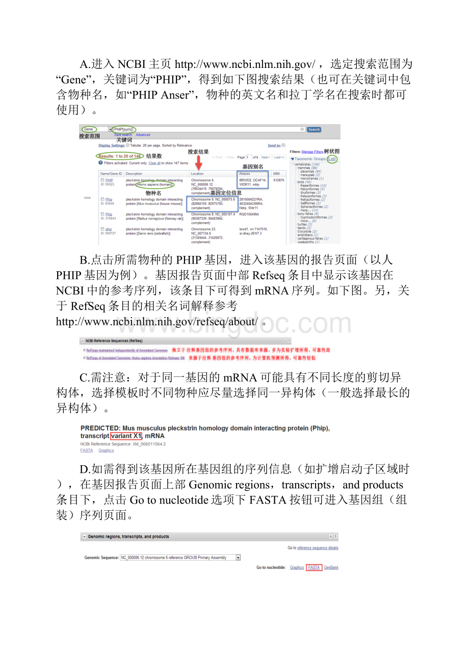 引物设计流程之基因编码区CDS扩增引物设计.docx_第2页