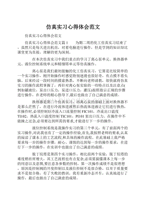 仿真实习心得体会范文.docx