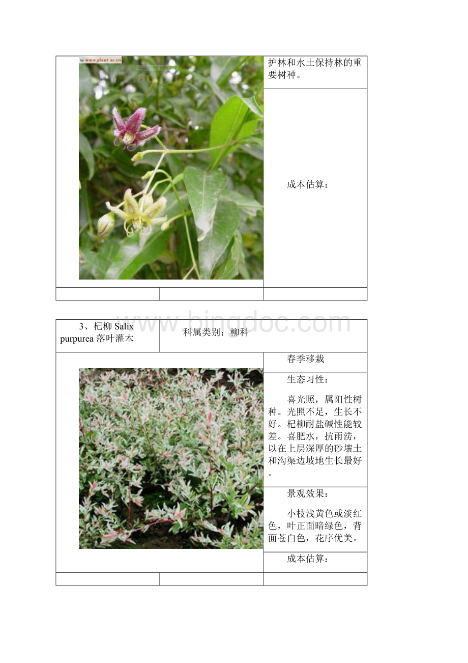 东北植物参考图谱灌木地被.docx_第2页