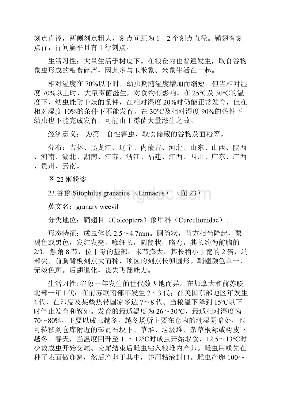 常见重要储粮害虫种三.docx_第2页