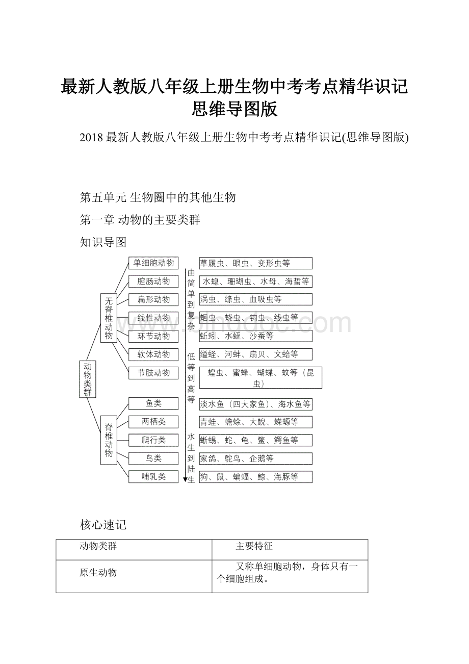 最新人教版八年级上册生物中考考点精华识记思维导图版.docx