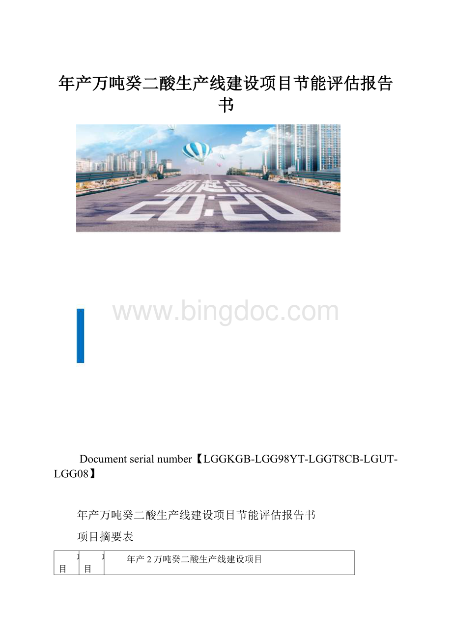 年产万吨癸二酸生产线建设项目节能评估报告书.docx_第1页