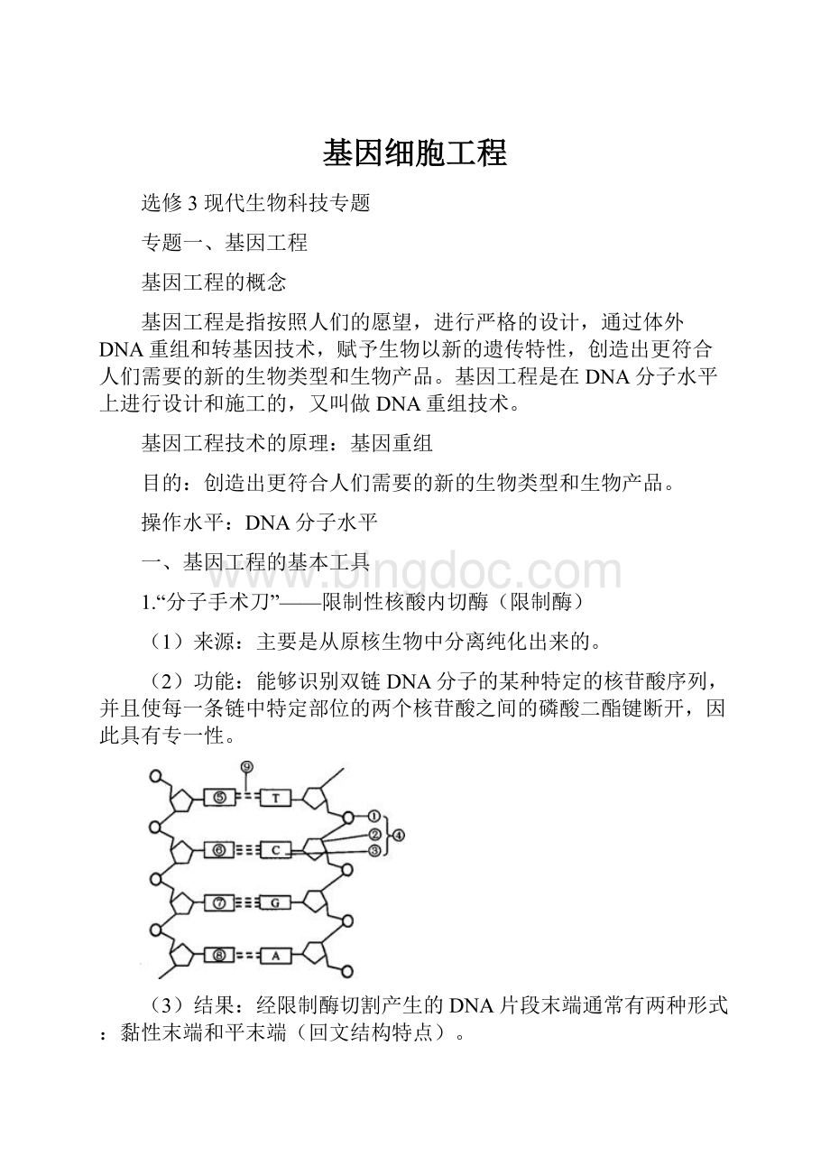 基因细胞工程.docx_第1页