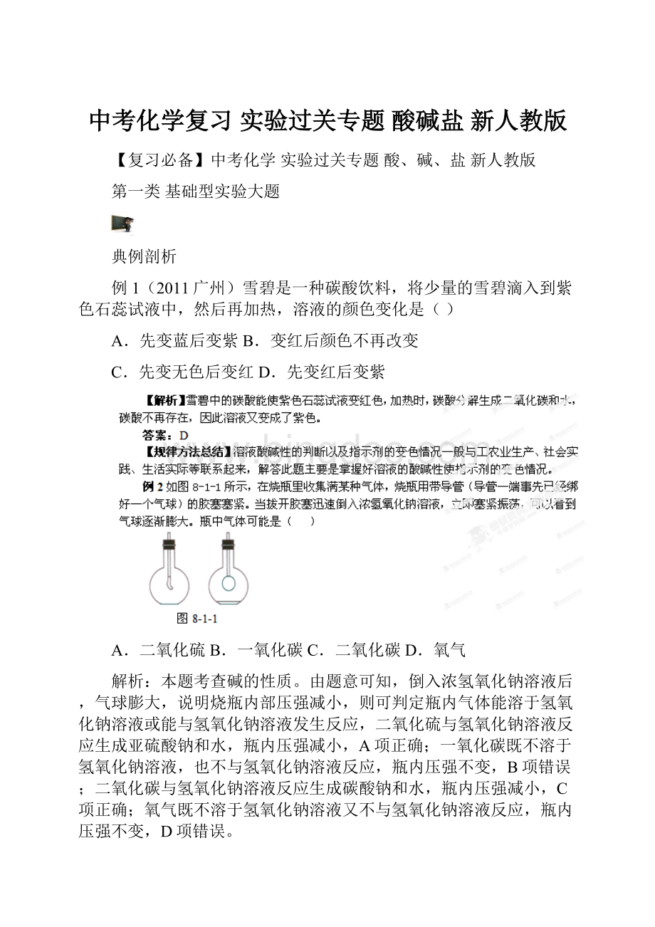 中考化学复习 实验过关专题 酸碱盐 新人教版.docx_第1页