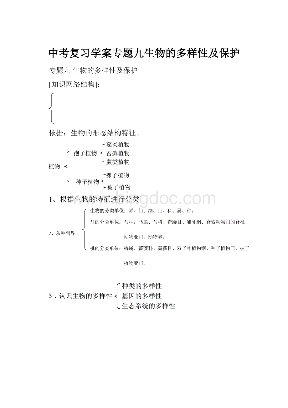 中考复习学案专题九生物的多样性及保护.docx_第1页