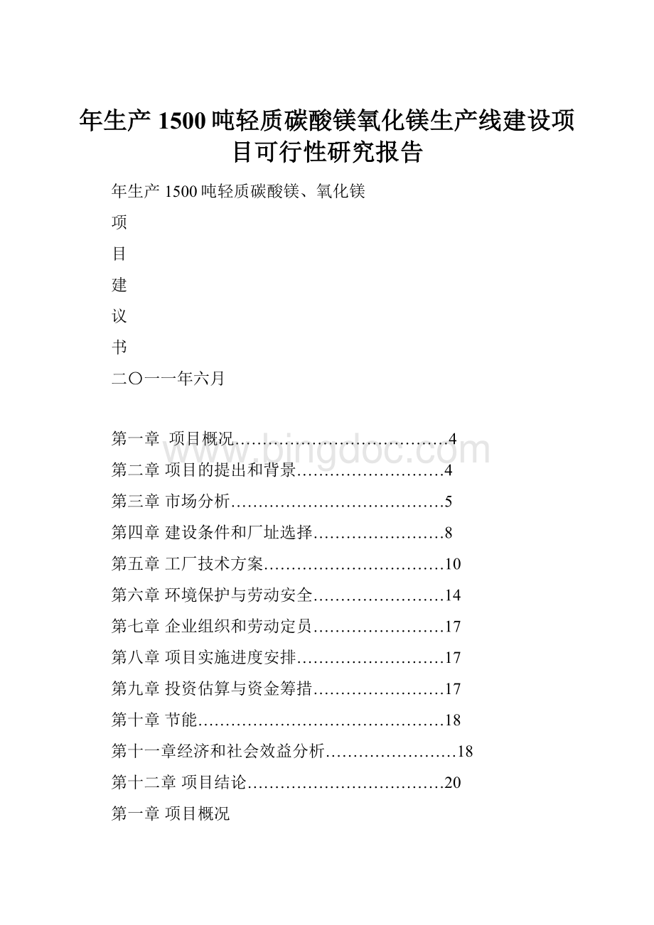 年生产1500吨轻质碳酸镁氧化镁生产线建设项目可行性研究报告.docx