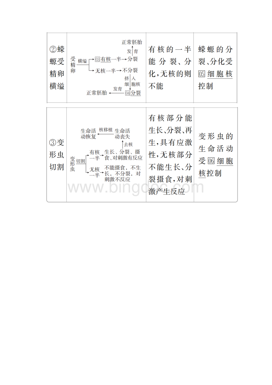 高中生物《细胞核系统的控制中心》导学案+课后练习.docx_第2页