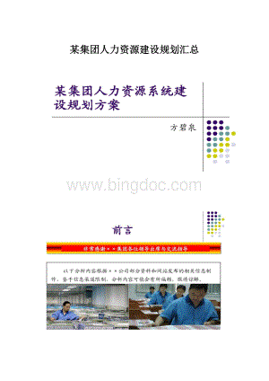 某集团人力资源建设规划汇总.docx