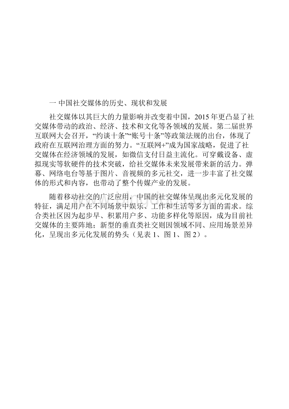 中国社交媒体发展报告.docx_第2页