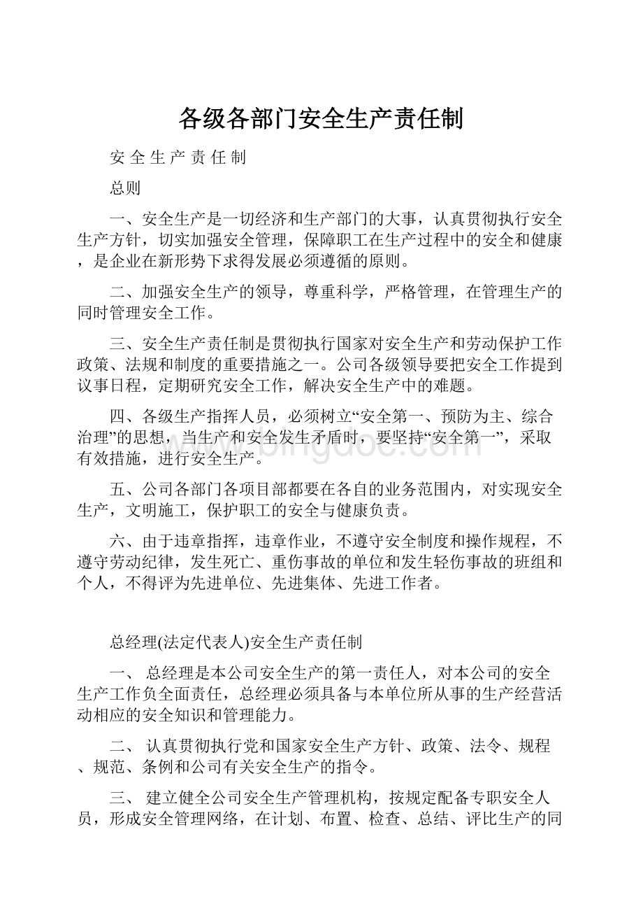 各级各部门安全生产责任制.docx