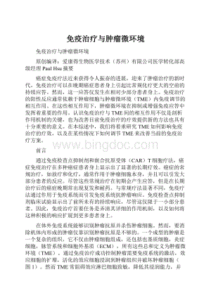 免疫治疗与肿瘤微环境.docx