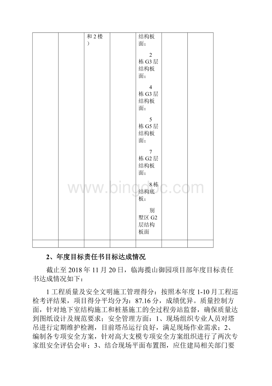 项目年终总结及工作计划.docx_第3页