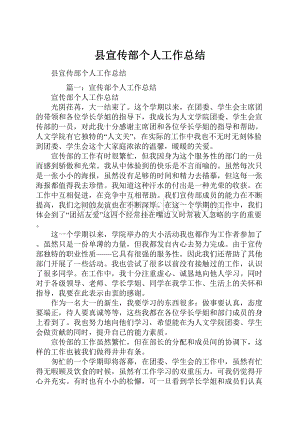 县宣传部个人工作总结.docx