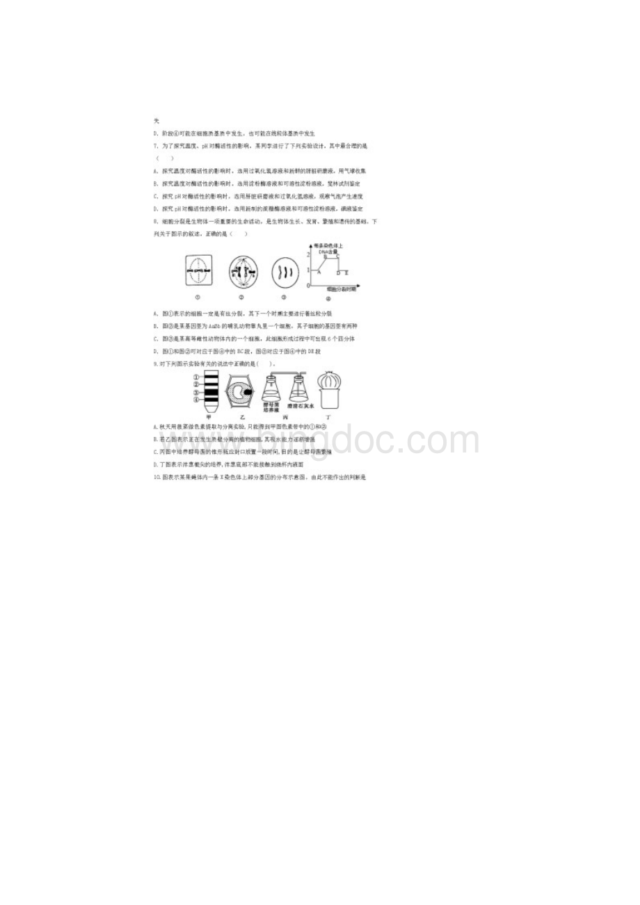 湖北省新高考联考协作体学年高二生物上学期开学联考试题含答案.docx_第3页