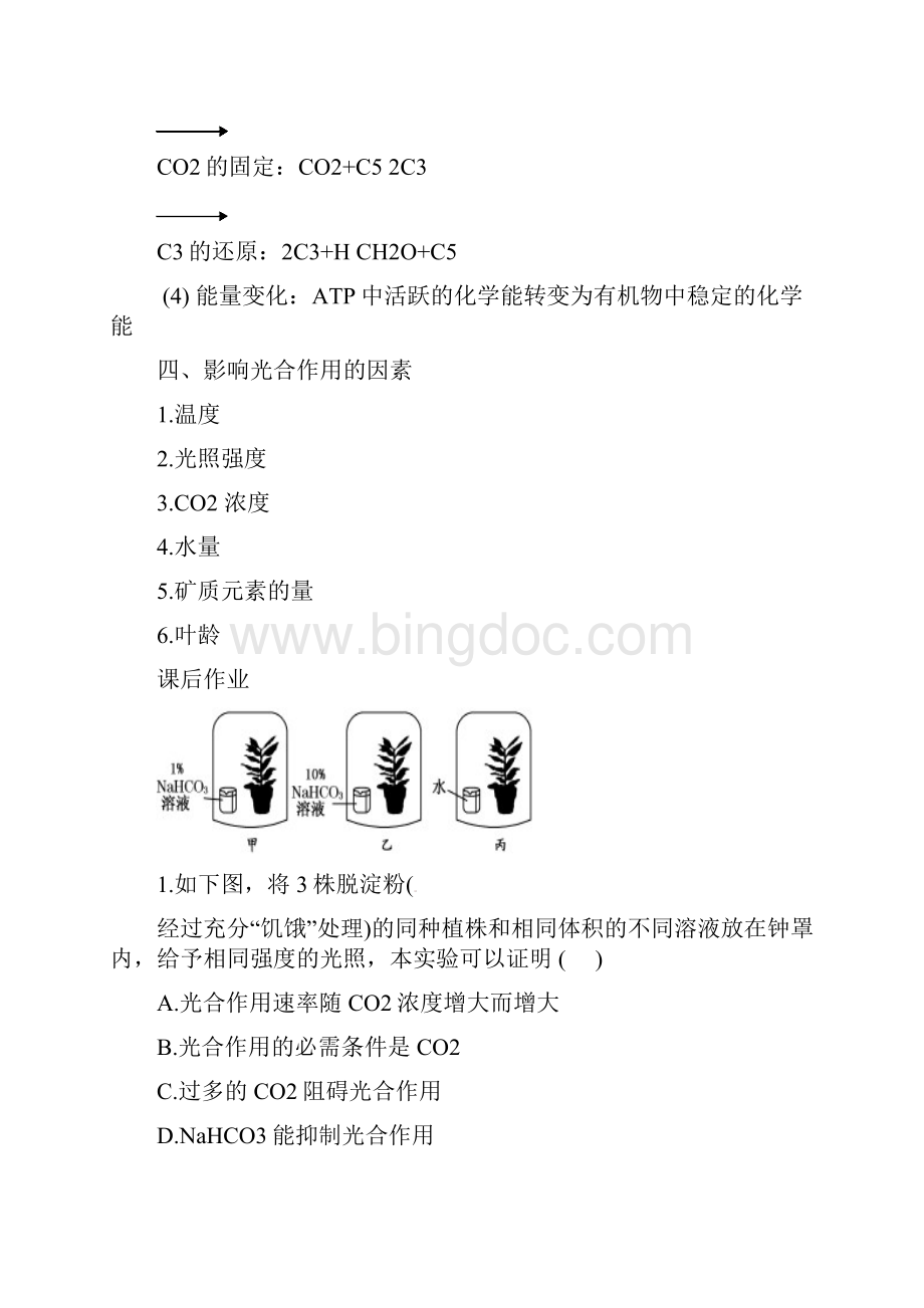 届高考生物二轮专题复习讲义光合作用.docx_第3页