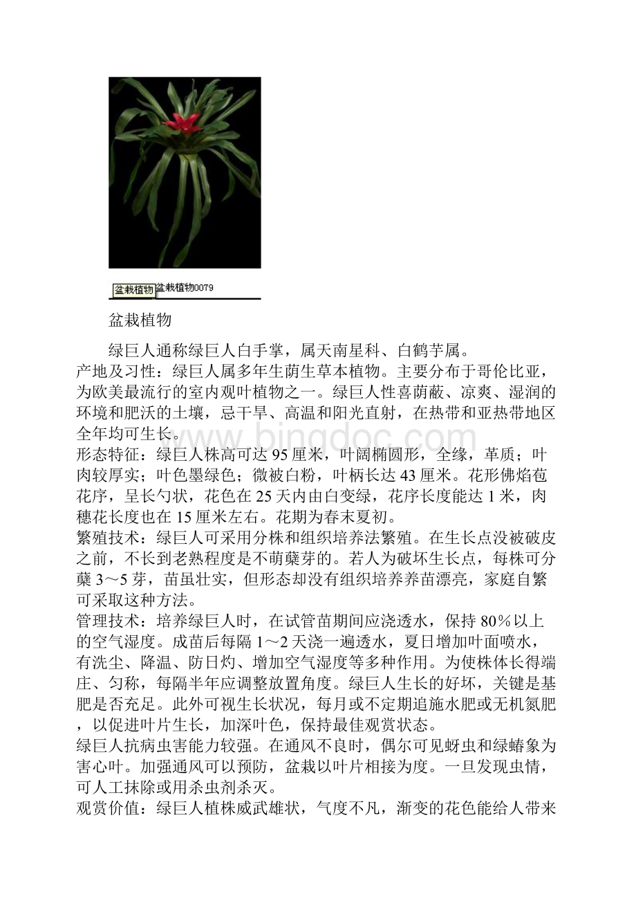 常见的盆栽树种及观赏分类表DOC.docx_第3页