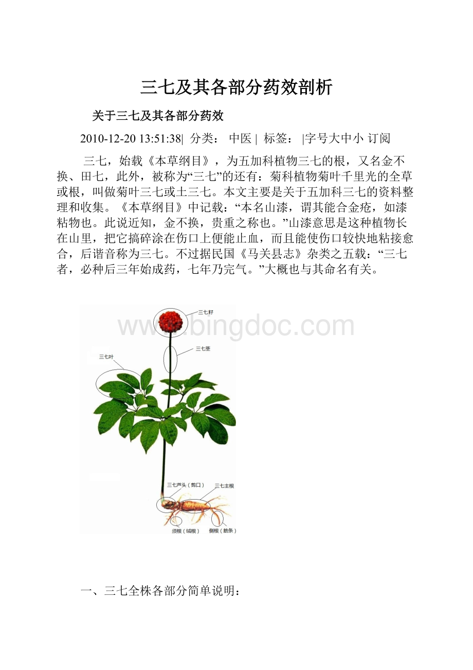 三七及其各部分药效剖析.docx