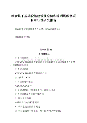 粮食烘干基础设施建设及仓储和晾晒场维修项目可行性研究报告.docx