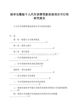 报审完整版个人汽车消费贷款担保项目可行性研究报告.docx