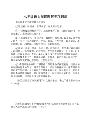 七年级语文阅读理解专项训练.docx