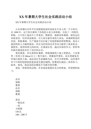 XX年暑期大学生社会实践活动小结.docx