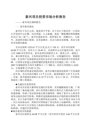 泰兴项目投资市场分析报告.docx