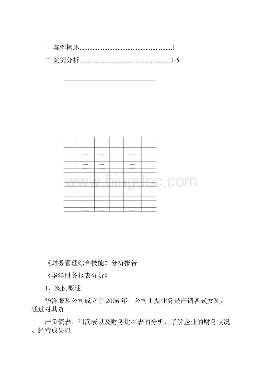 华洋财务分析.docx_第3页