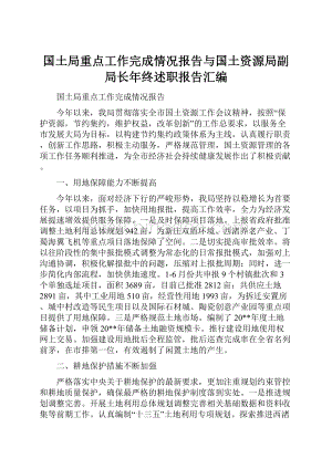 国土局重点工作完成情况报告与国土资源局副局长年终述职报告汇编.docx