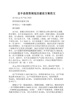 宜丰县投资规划及建设方案范文.docx