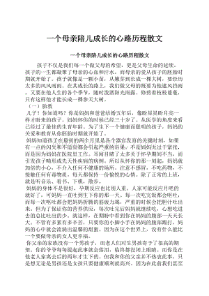 一个母亲陪儿成长的心路历程散文.docx