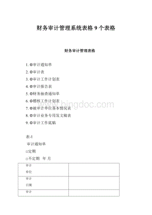 财务审计管理系统表格9个表格.docx