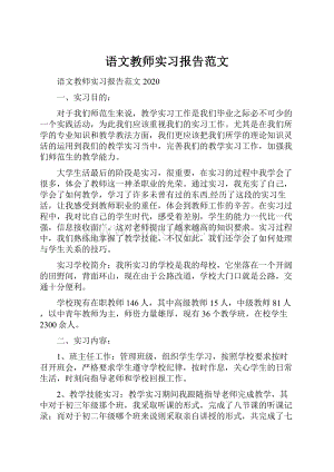 语文教师实习报告范文.docx