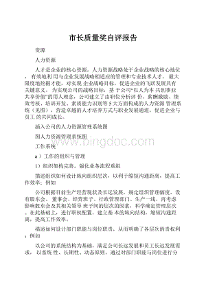 市长质量奖自评报告.docx