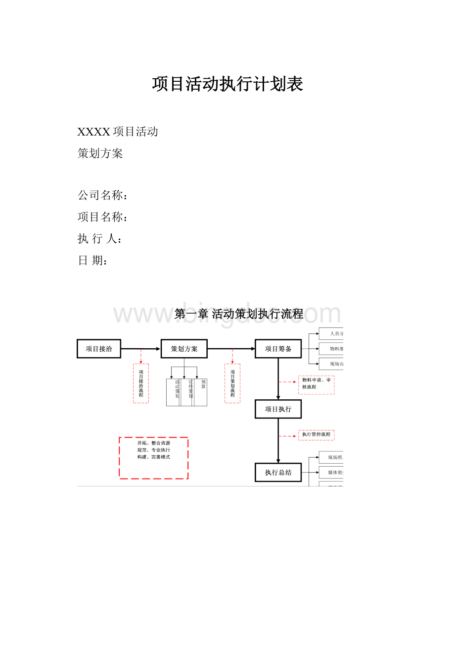 项目活动执行计划表.docx