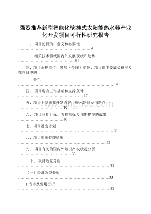 强烈推荐新型智能化壁挂式太阳能热水器产业化开发项目可行性研究报告.docx