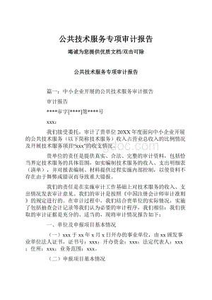 公共技术服务专项审计报告.docx