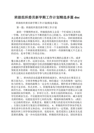 班级组织委员新学期工作计划精选多篇doc.docx