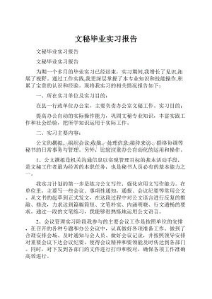 文秘毕业实习报告.docx