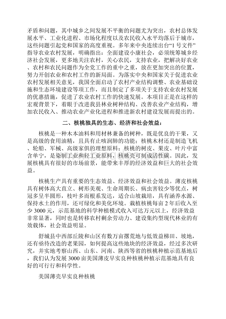 优质薄皮核桃基地项目可研报告.docx_第2页