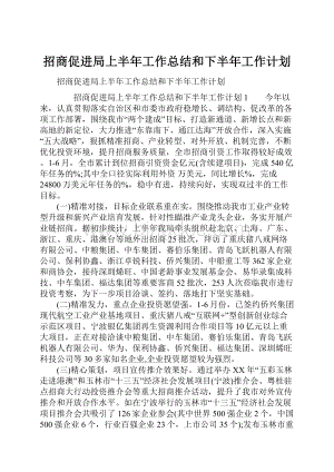 招商促进局上半年工作总结和下半年工作计划.docx