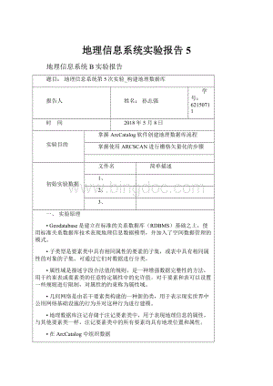 地理信息系统实验报告5.docx