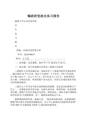 镇政府党政办实习报告.docx