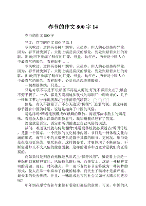 春节的作文800字14.docx