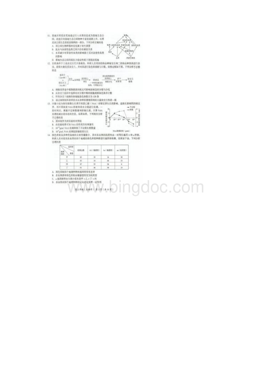 海淀区学年第二学期期中练习高三生物试题.docx_第3页