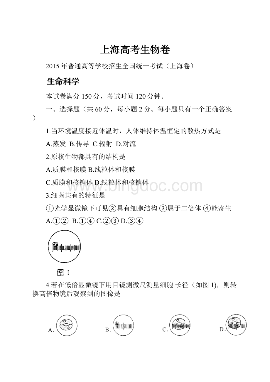 上海高考生物卷.docx_第1页