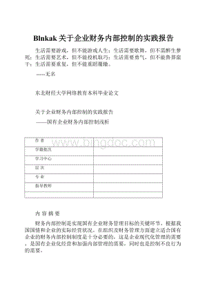 Blnkak关于企业财务内部控制的实践报告.docx