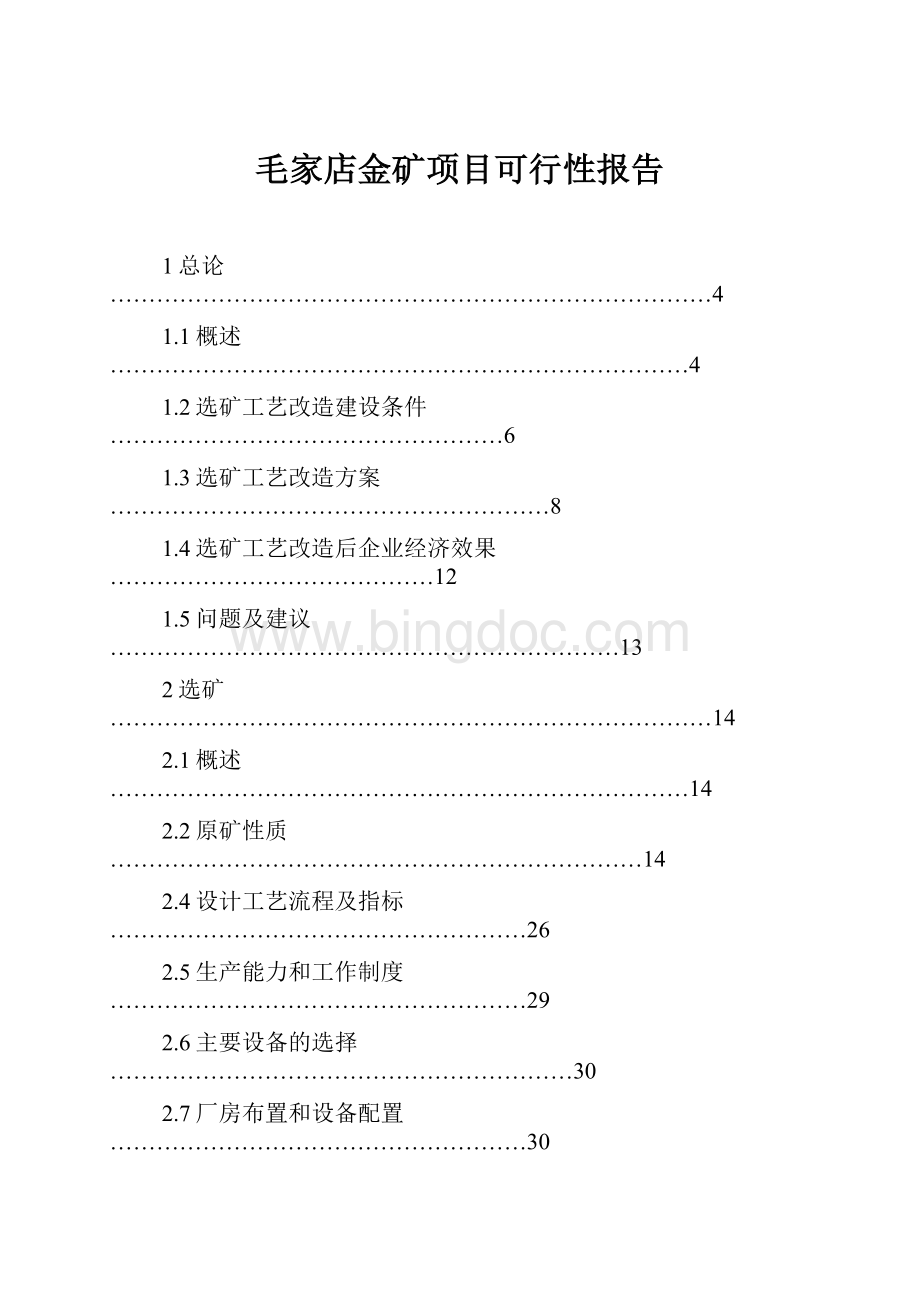 毛家店金矿项目可行性报告.docx