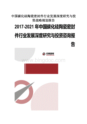 中国碳化硅陶瓷密封件行业发展深度研究与投资战略规划报告.docx