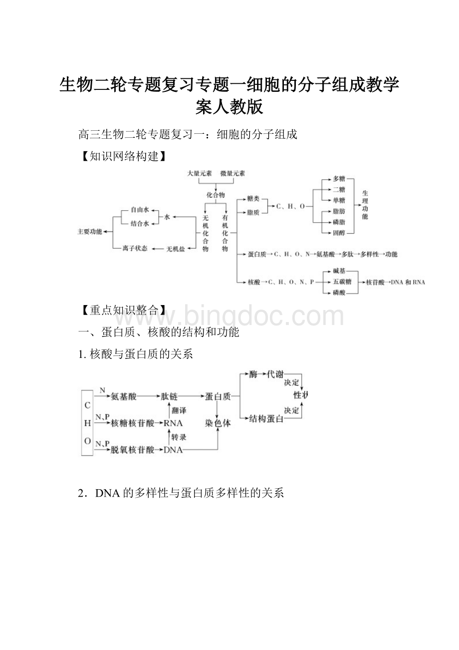 生物二轮专题复习专题一细胞的分子组成教学案人教版.docx