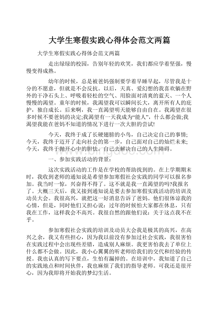 大学生寒假实践心得体会范文两篇.docx